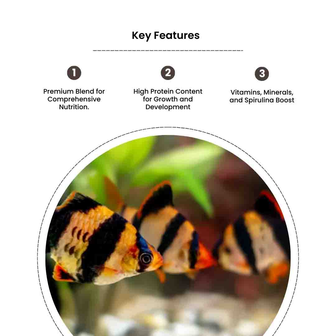 Daily Diet Nutrition - Image 4