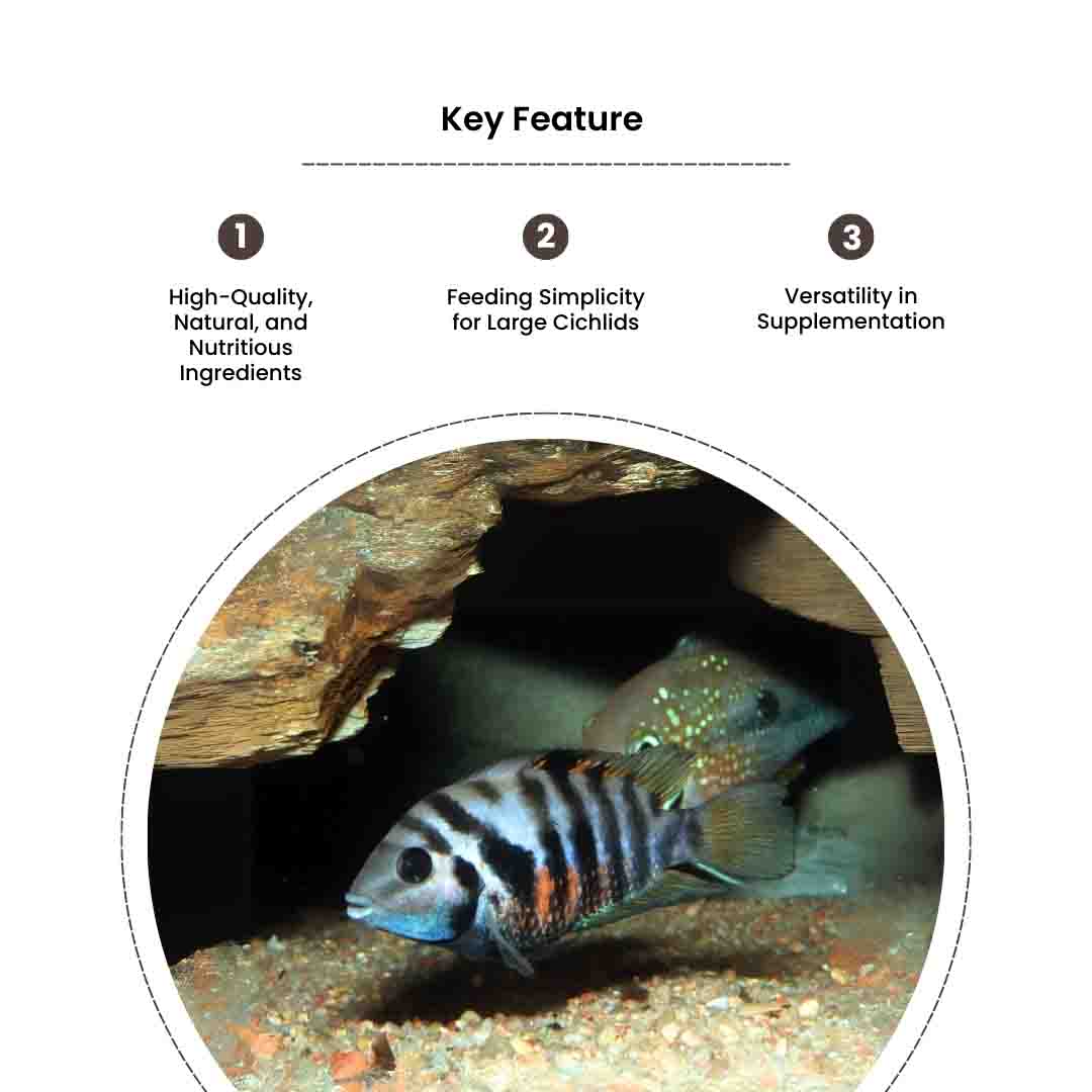 Cichlid Pro Food - Image 4