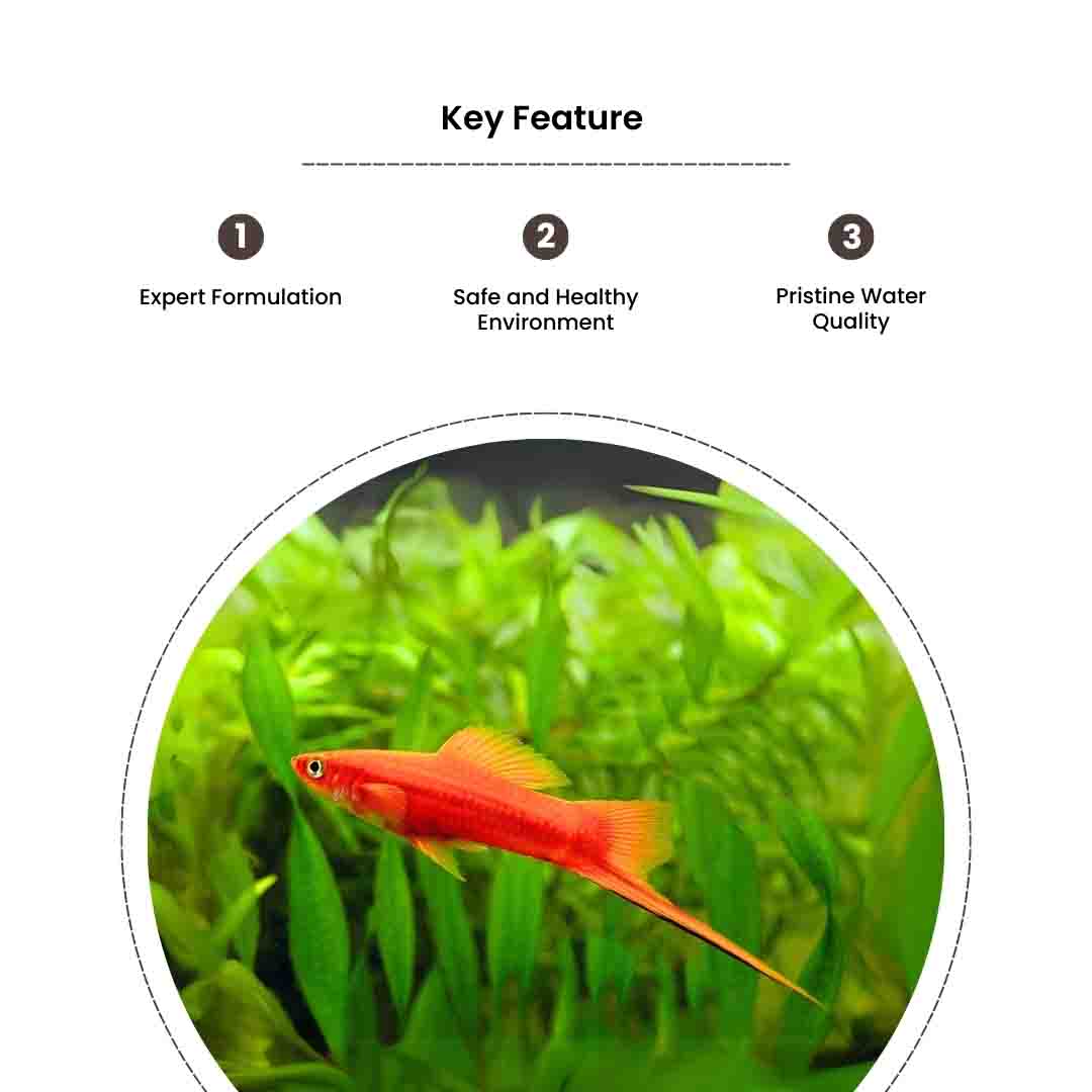 No Chlorine - Image 3