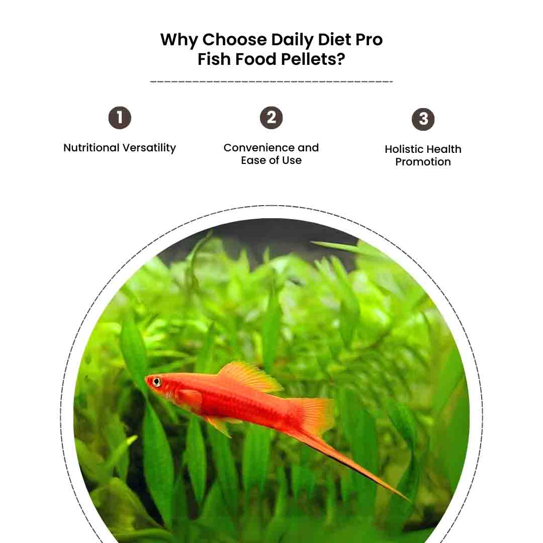 Daily Diet Nutrition - Image 5