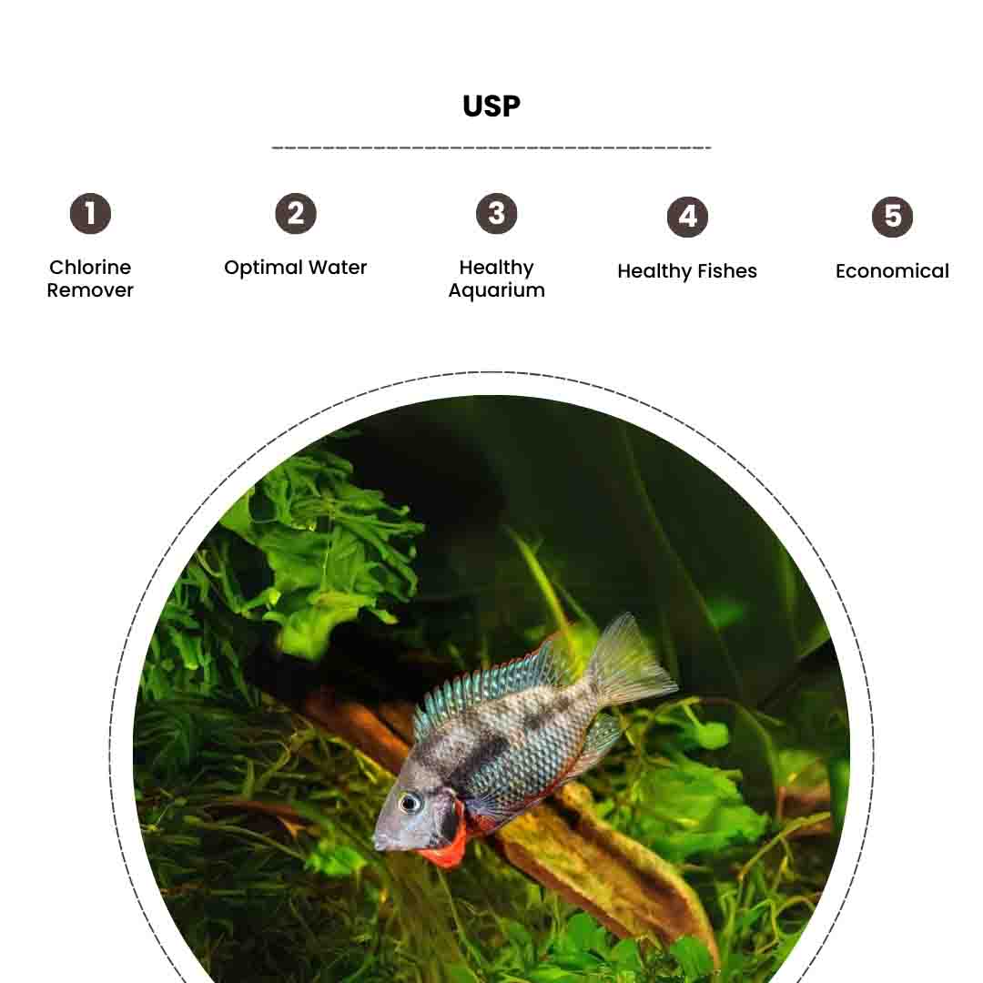 No Chlorine - Image 4