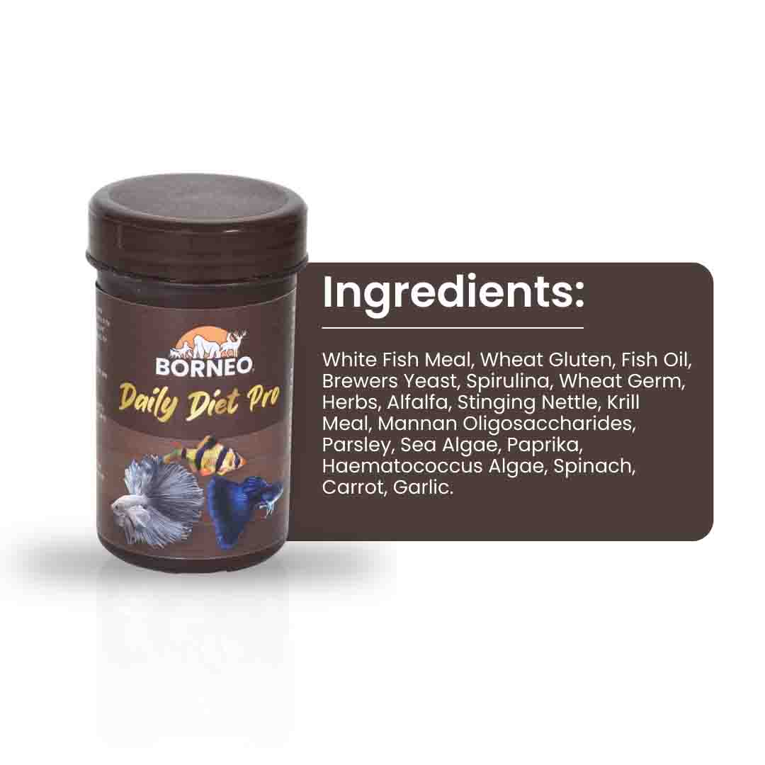 Daily Diet Nutrition - Image 6