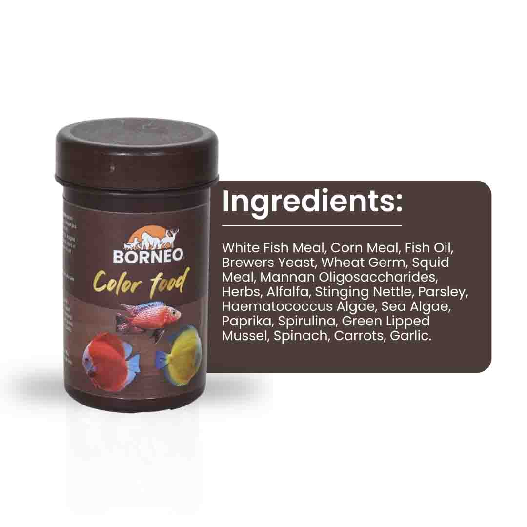 Color Food - Image 6