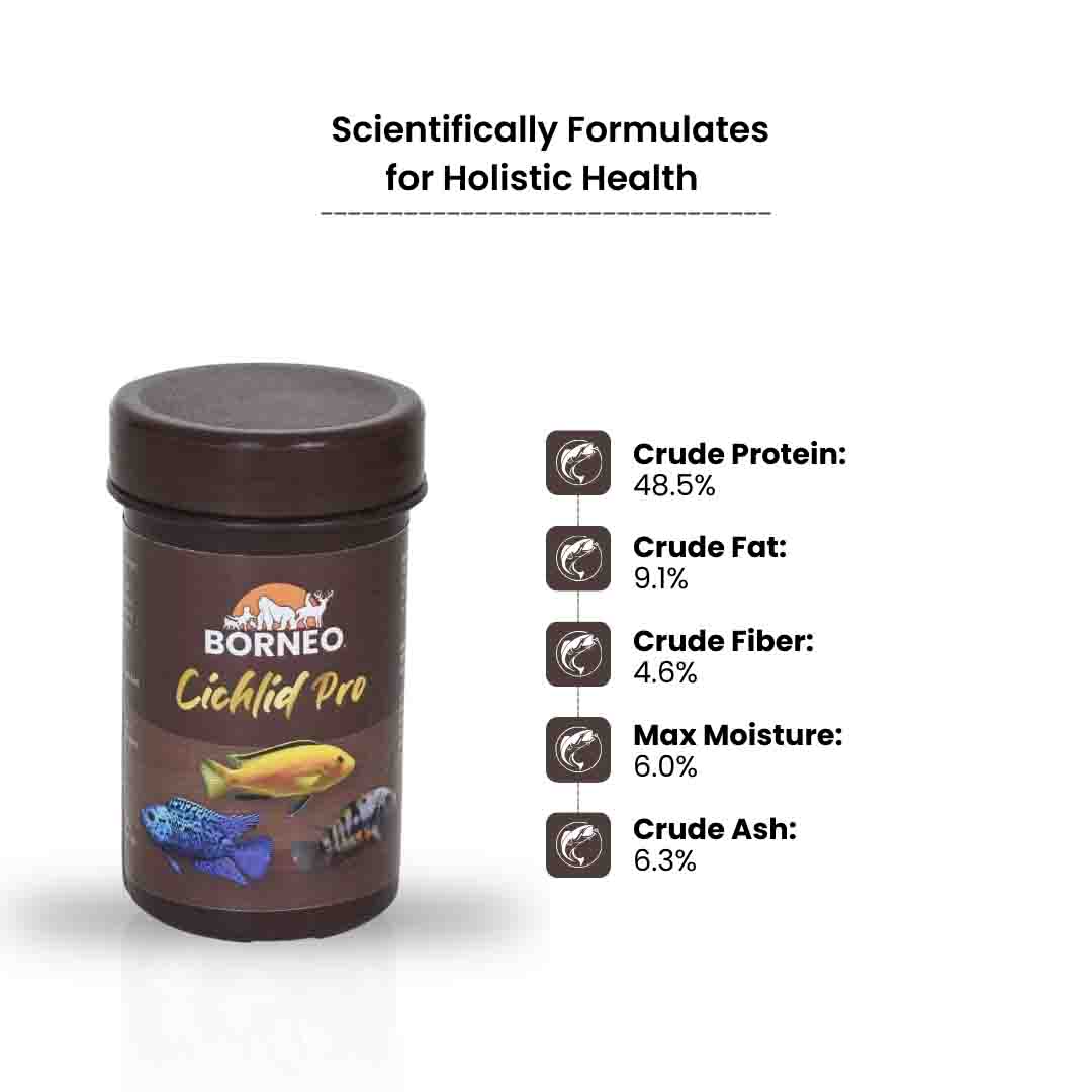 Cichlid Pro Food - Image 7