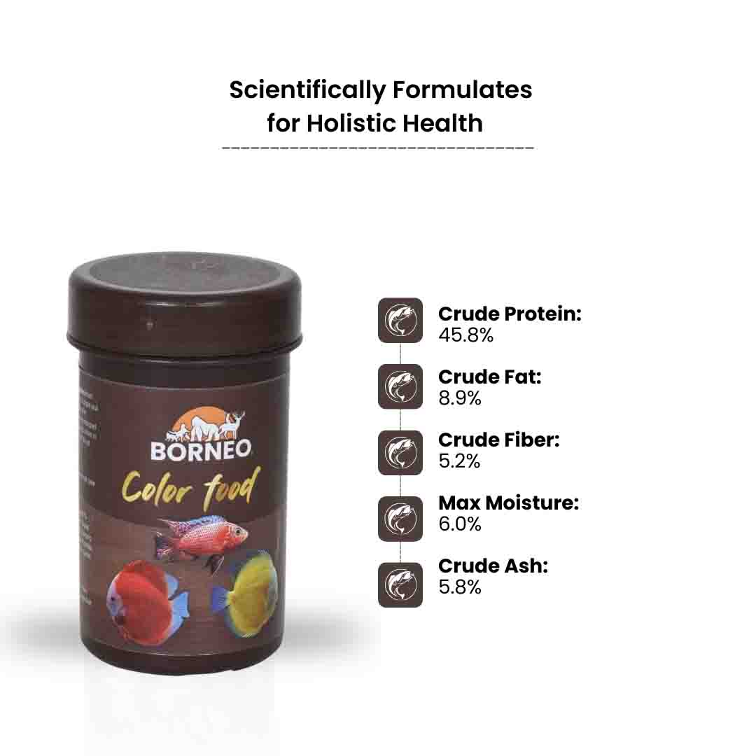 Color Food - Image 7