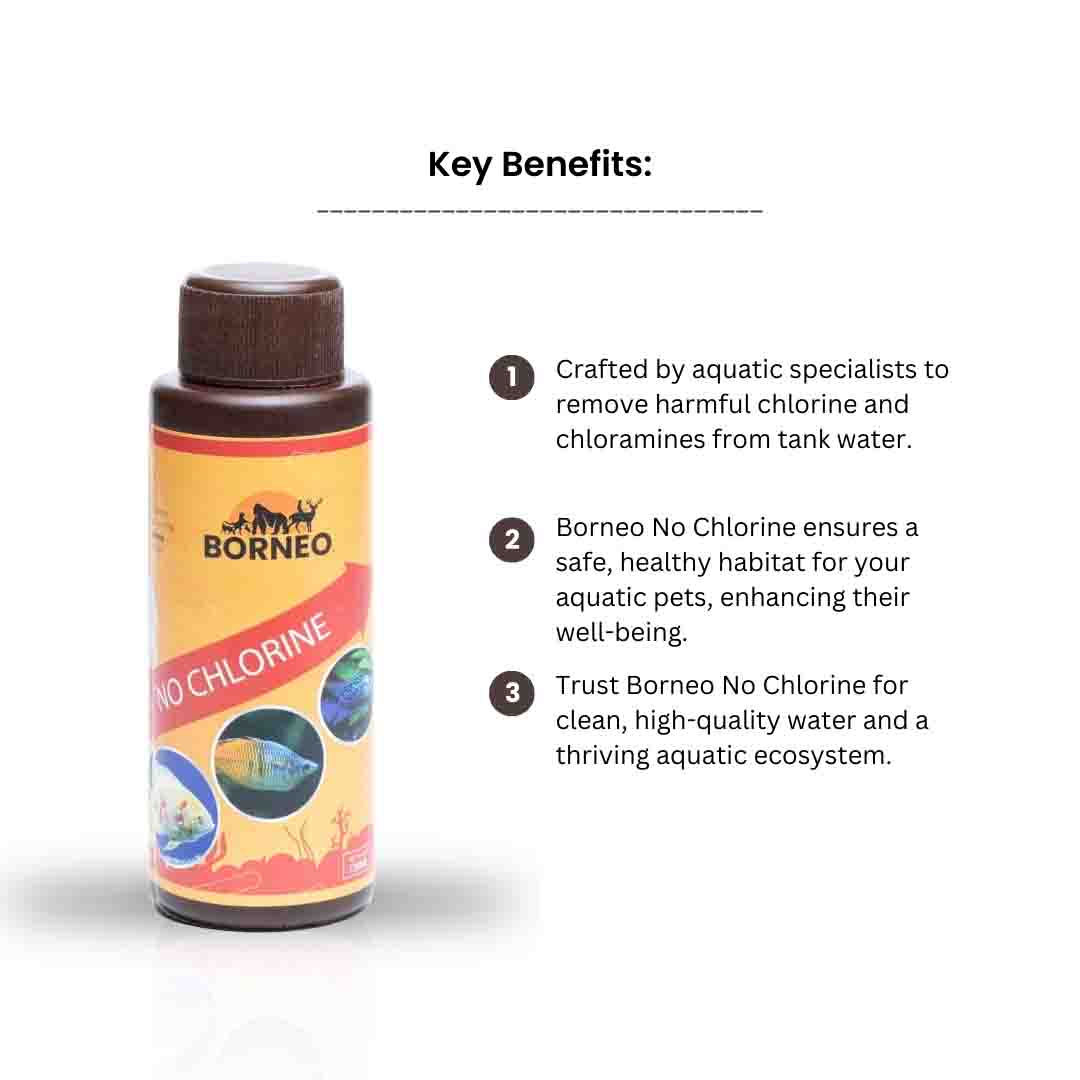 No Chlorine - Image 6