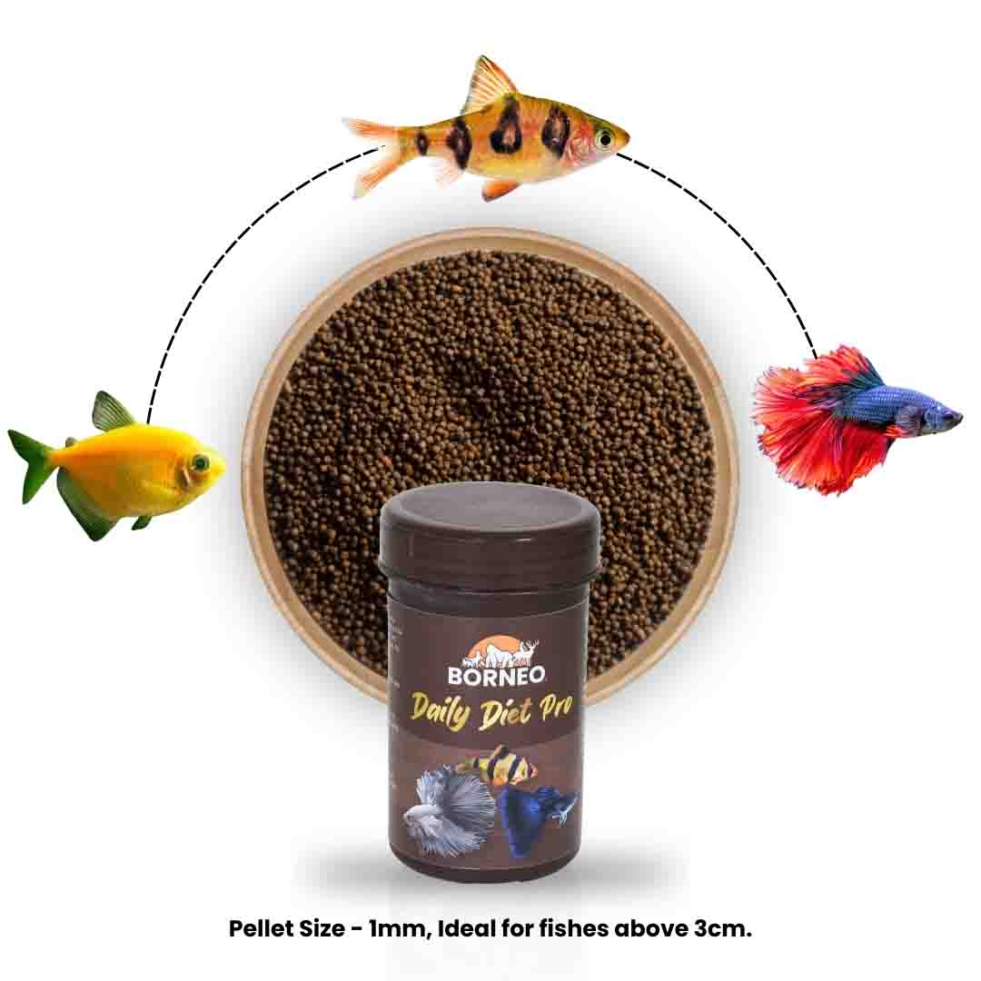 Daily Diet Nutrition - Image 8