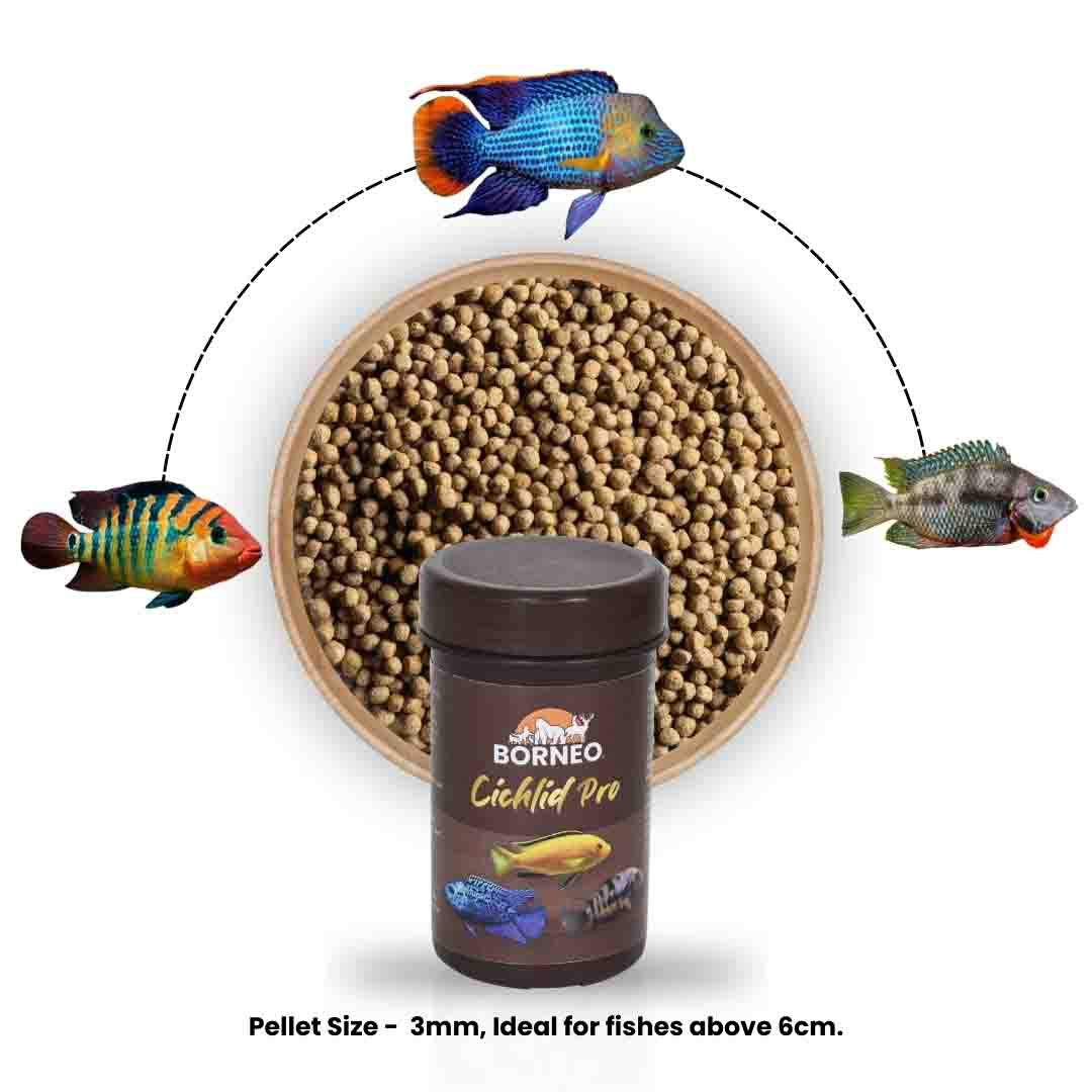 Cichlid Pro Food - Image 8