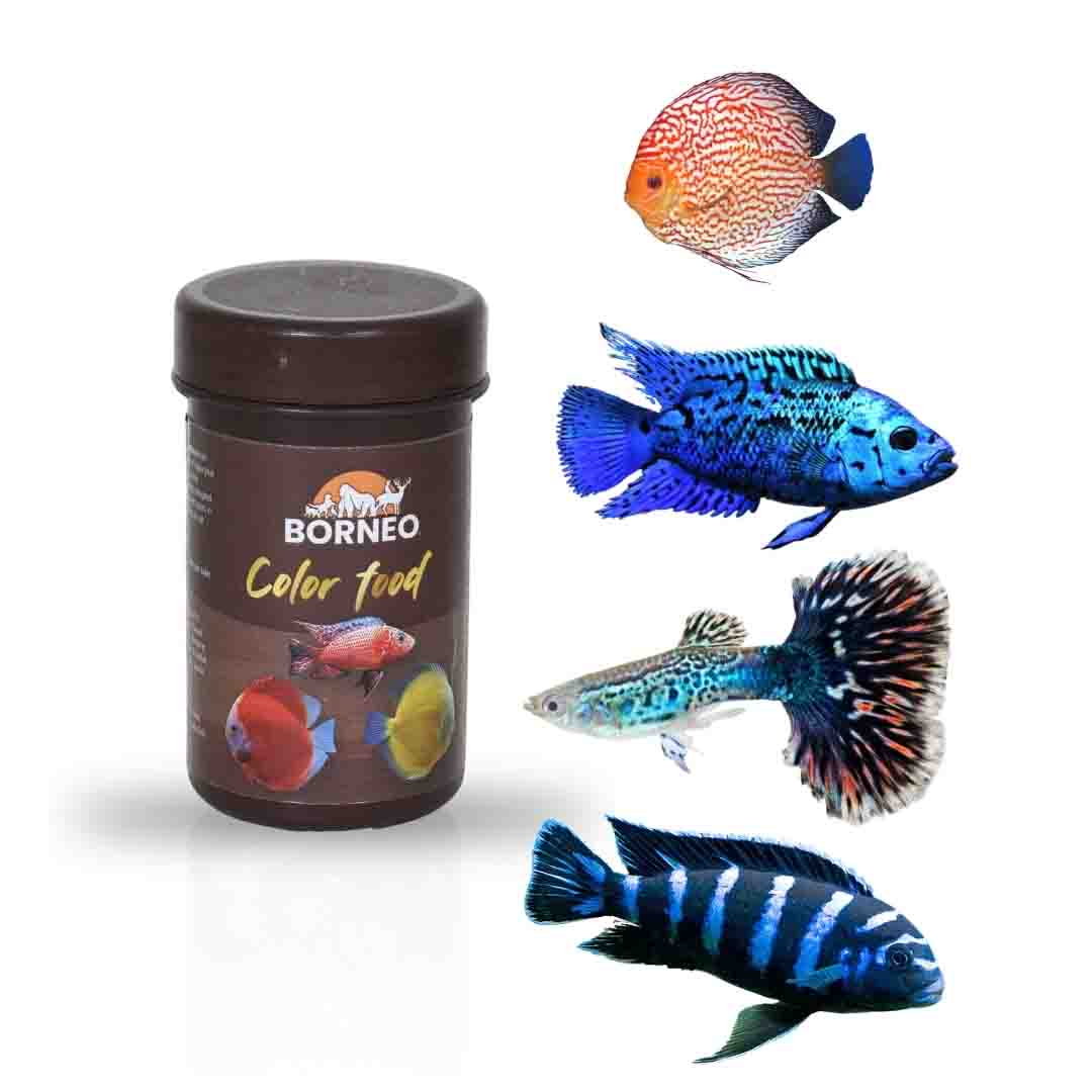 Color Food - Image 9