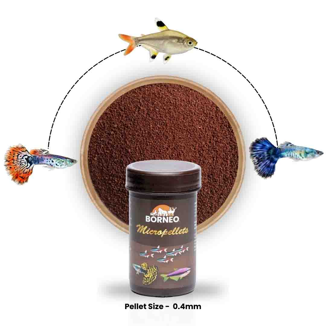 Micropellets - Image 8