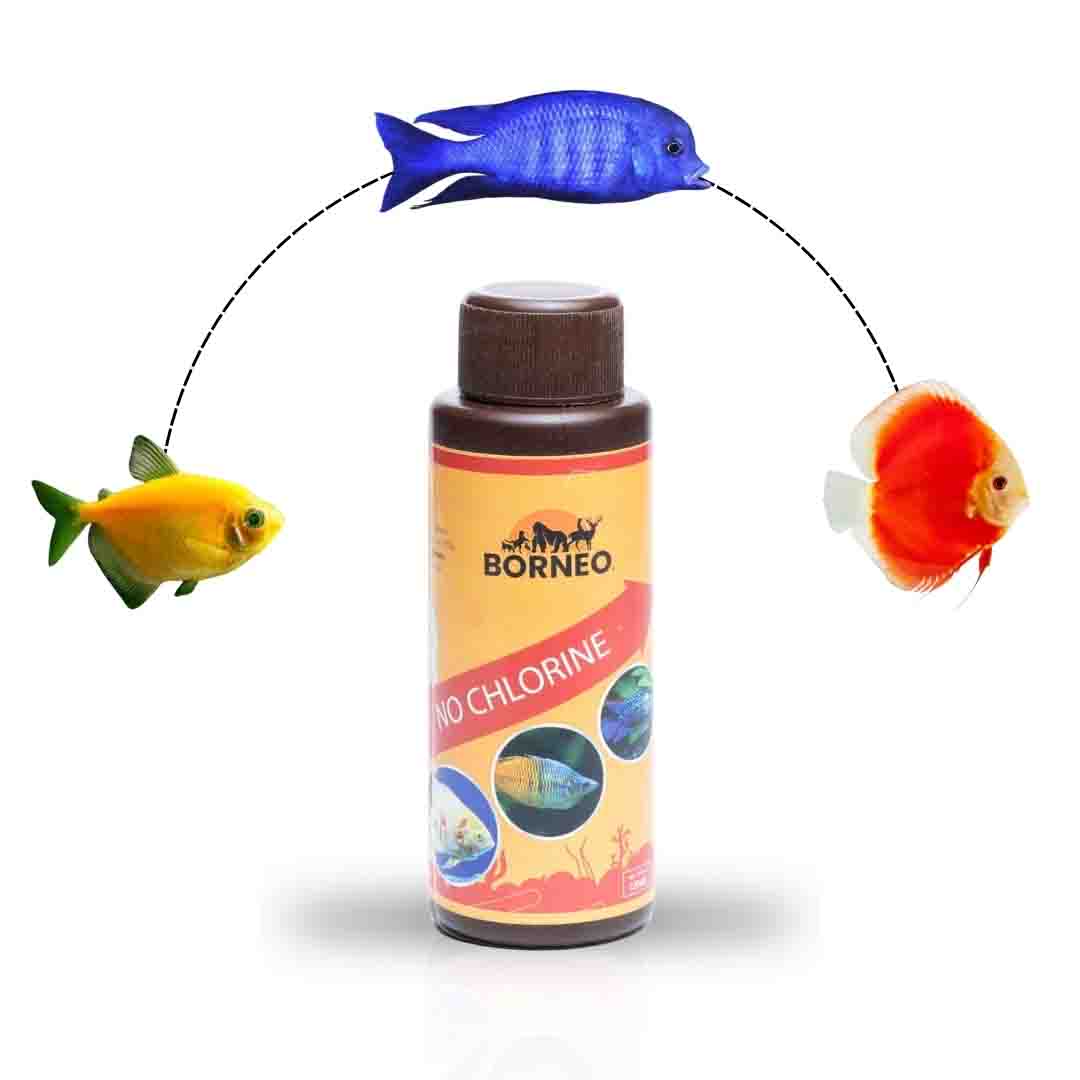 No Chlorine - Image 7