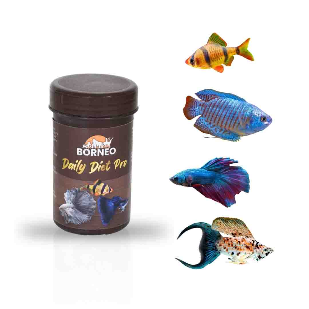 Daily Diet Nutrition - Image 9