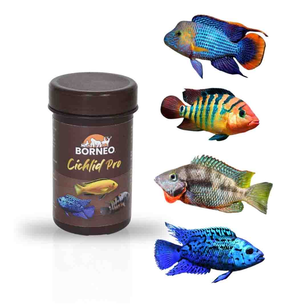 Cichlid Pro Food - Image 9