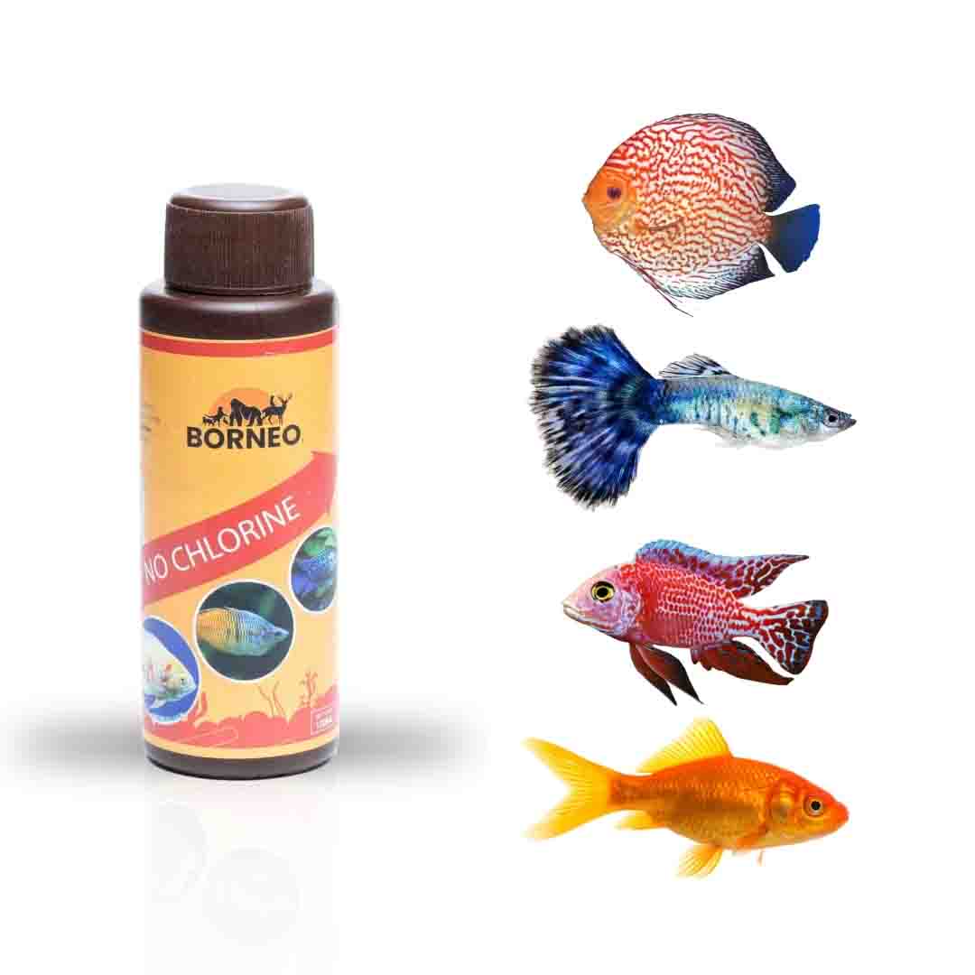 No Chlorine - Image 8